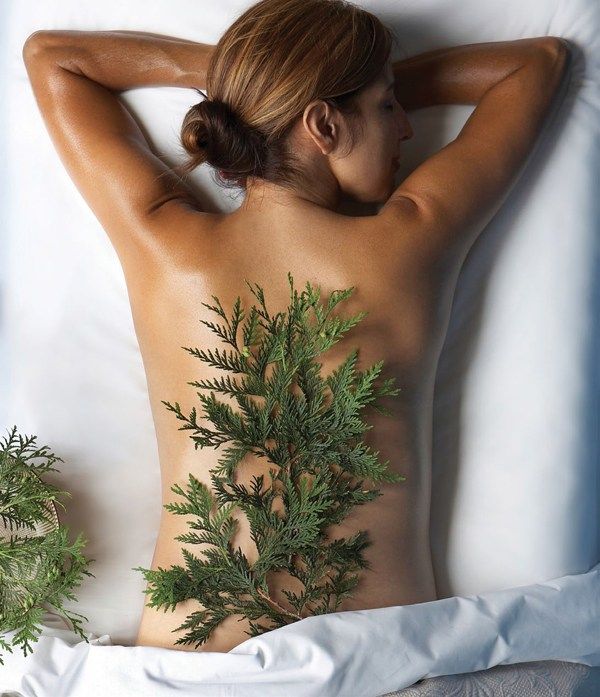 Guest Ingredient Card